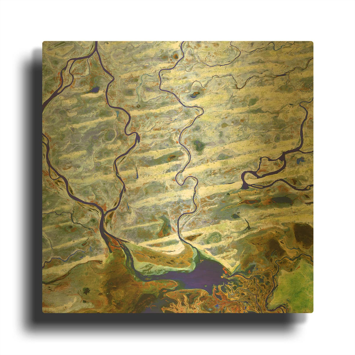 'Earth as Art Niger River' By NASA Earth As Art Gold Metal Wall Art