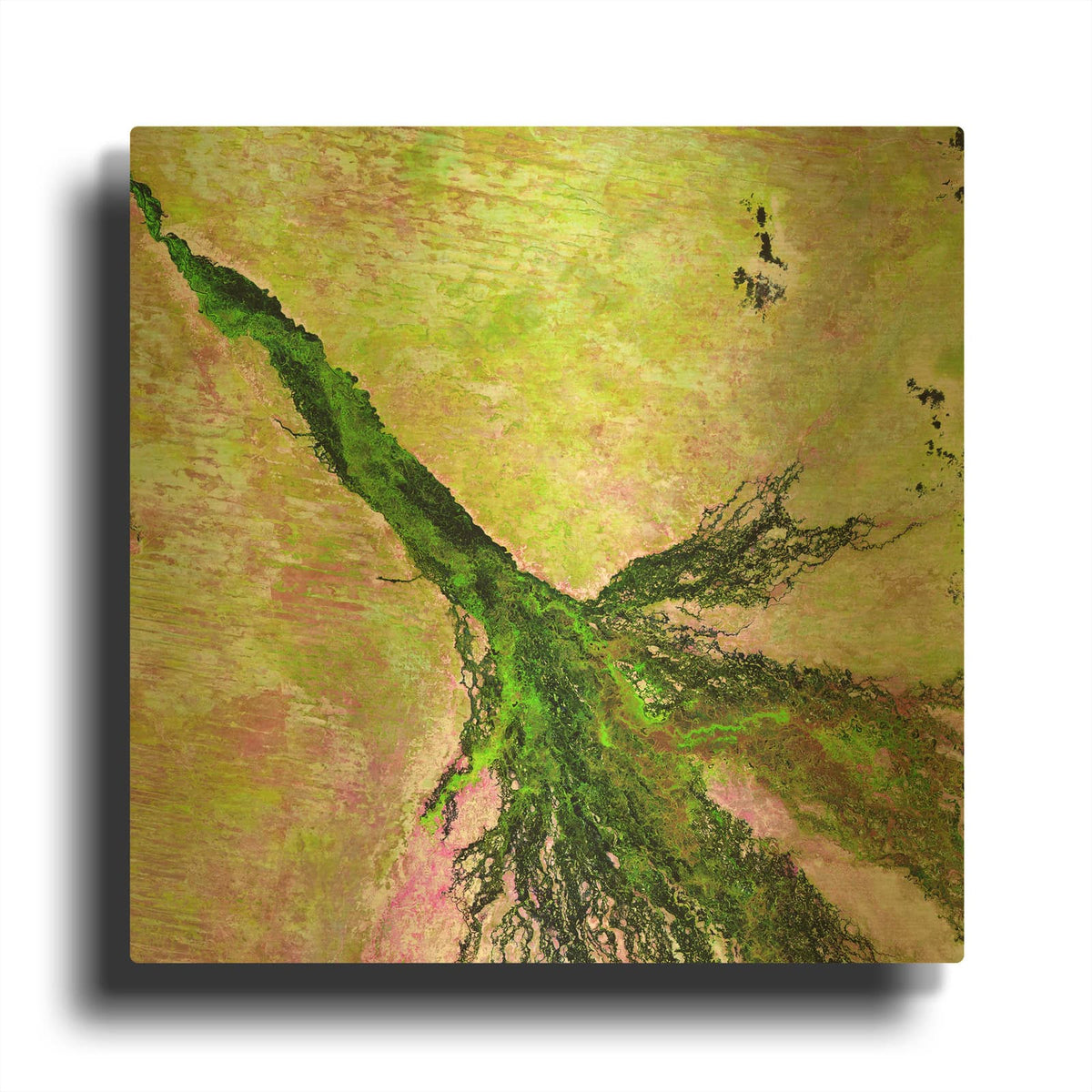 'Earth as Art Okavango Delta,' By NASA Earth As Art Gold Metal Wall Art