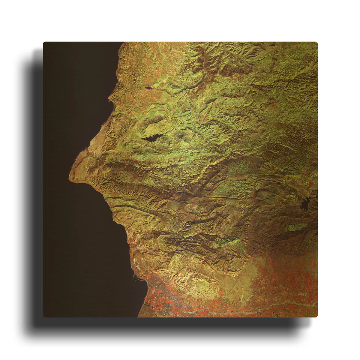 'Earth as Art Earth Selfie,' By NASA Earth As Art Gold Metal Wall Art