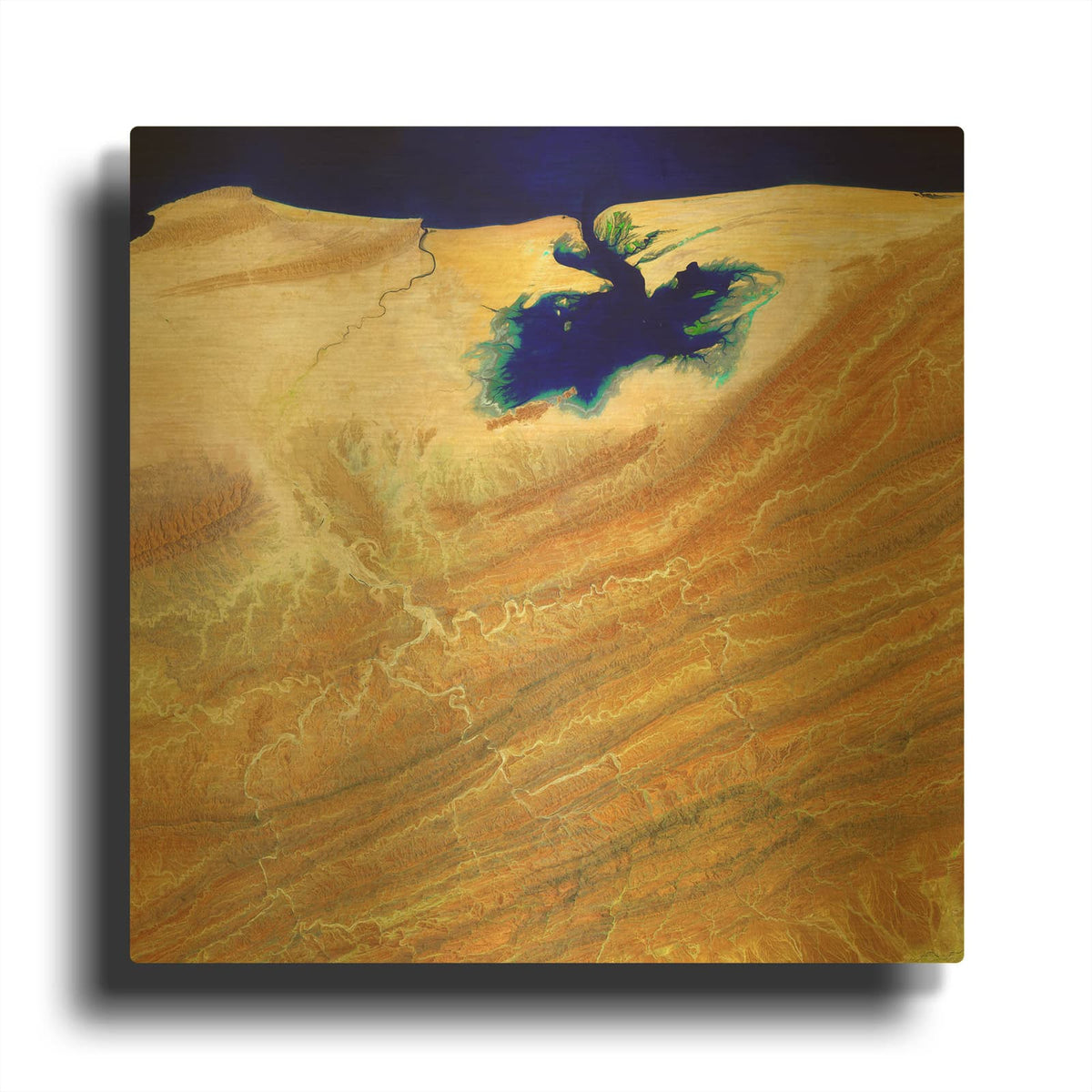'Earth as Art Ink Stain,' By NASA Earth As Art Gold Metal Wall Art