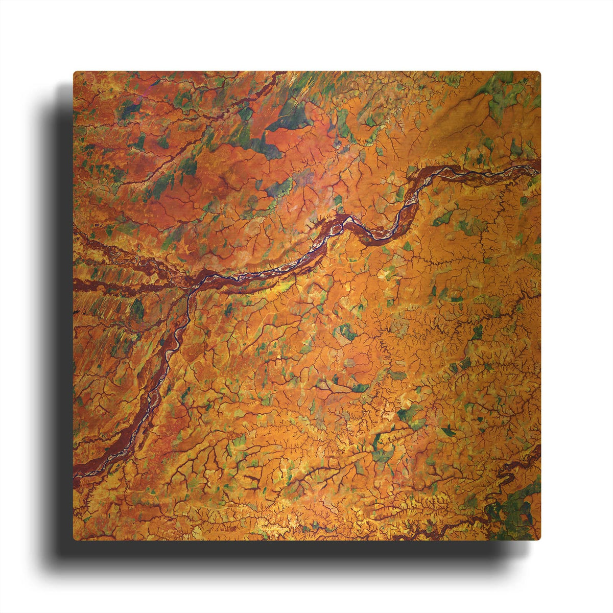 'Earth as Art Capillaries,' By NASA Earth As Art Gold Metal Wall Art