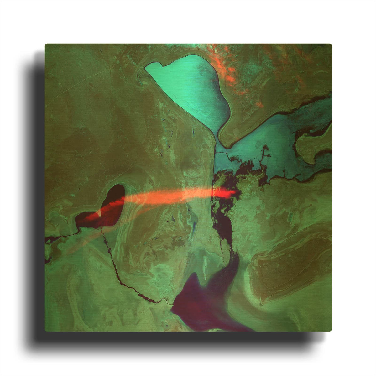 'Earth as Art Bleeding Heart,' By NASA Earth As Art Gold Metal Wall Art