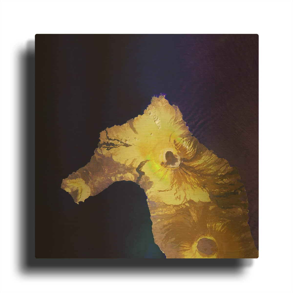 'Earth as Art Painted Horse,' By NASA Earth As Art Gold Metal Wall Art