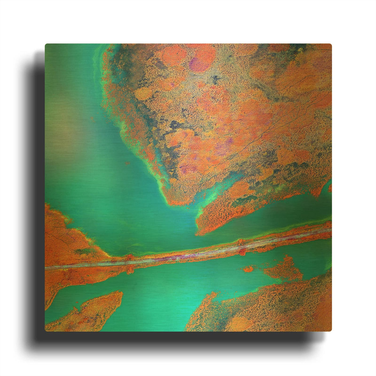 'Earth as Art A Study in Algae,' By NASA Earth As Art Gold Metal Wall Art