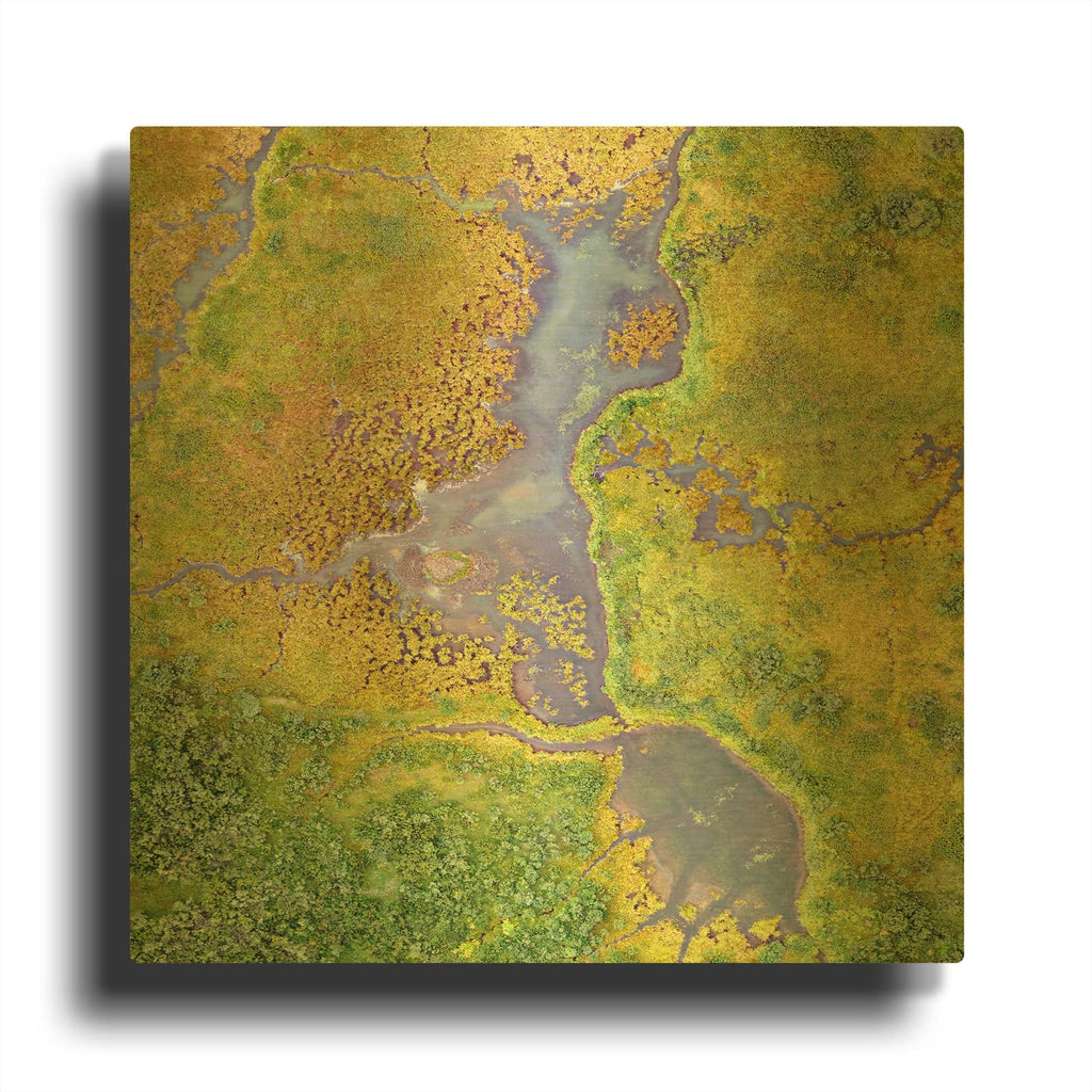 'Earth as Art Watching Wetlands,' By NASA Earth As Art Gold Metal Wall Art