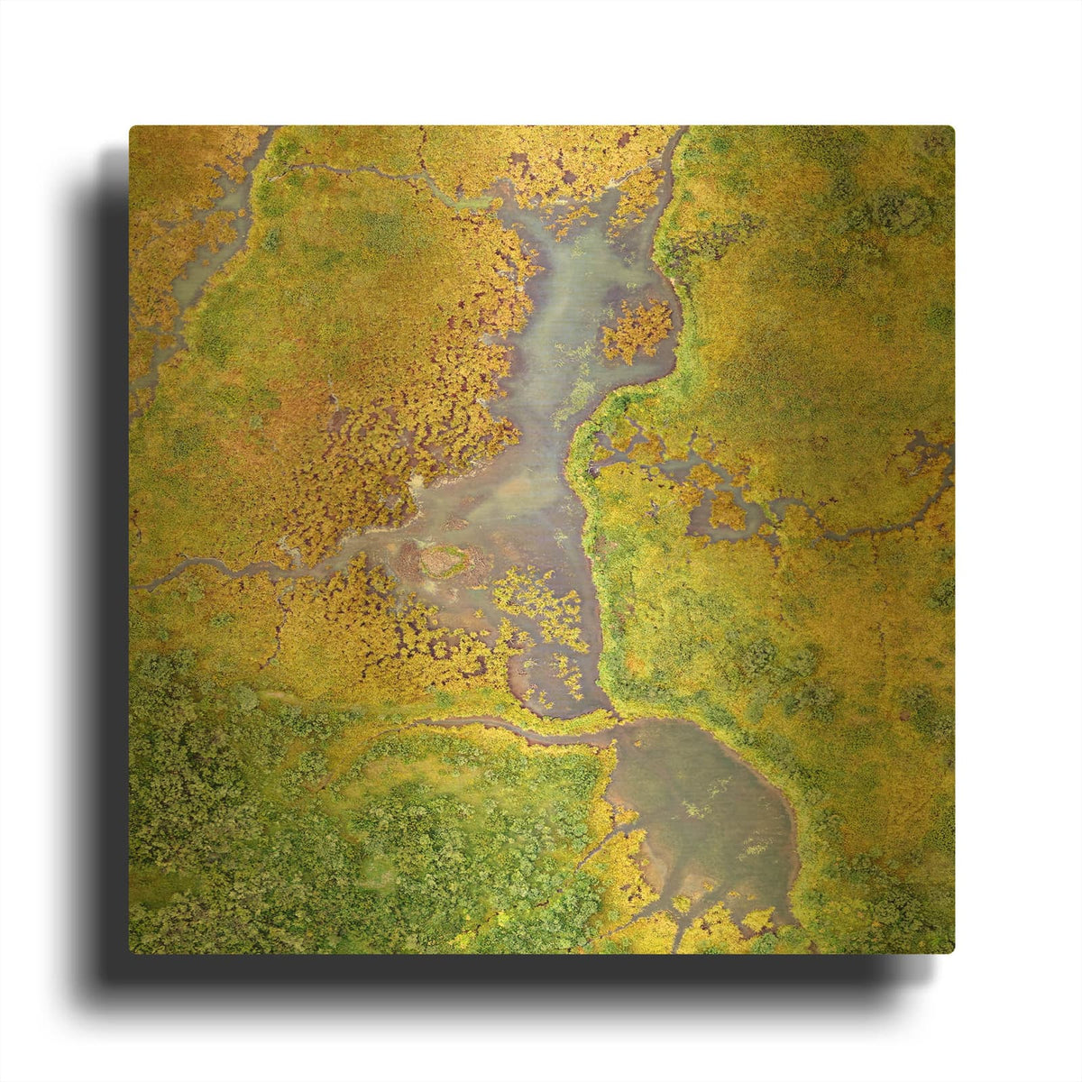 'Earth as Art Watching Wetlands,' By NASA Earth As Art Gold Metal Wall Art