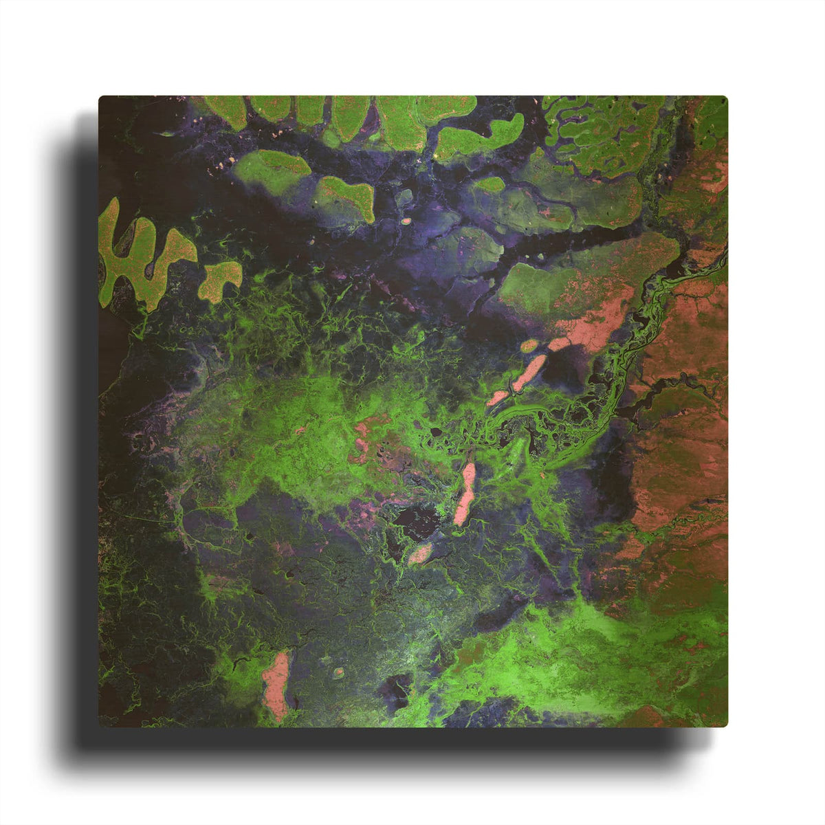 'Earth as Art Wondrous Wetlands,' By NASA Earth As Art Gold Metal Wall Art
