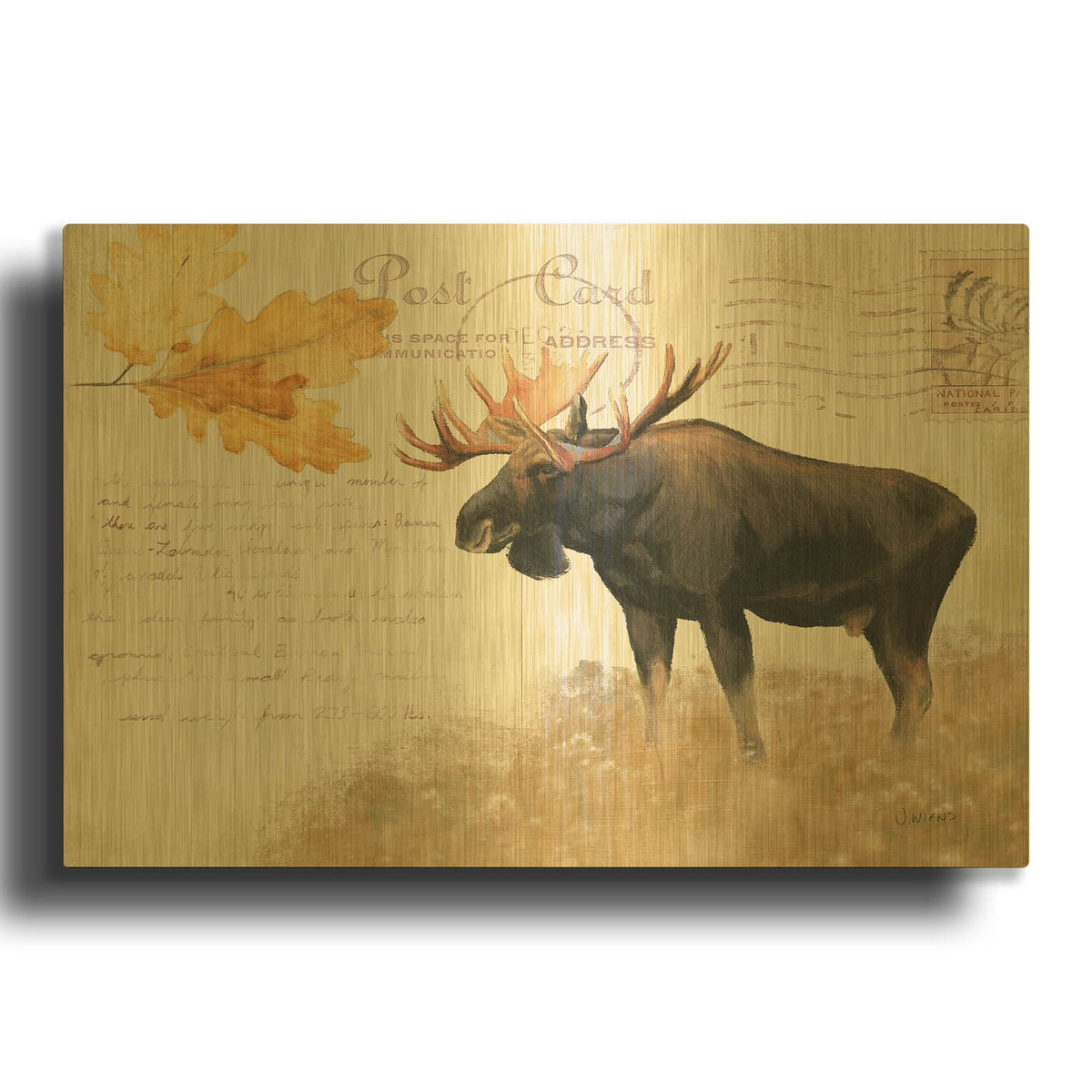'Northern Wild Moose' By James Wiens Gold Metal Wall Art