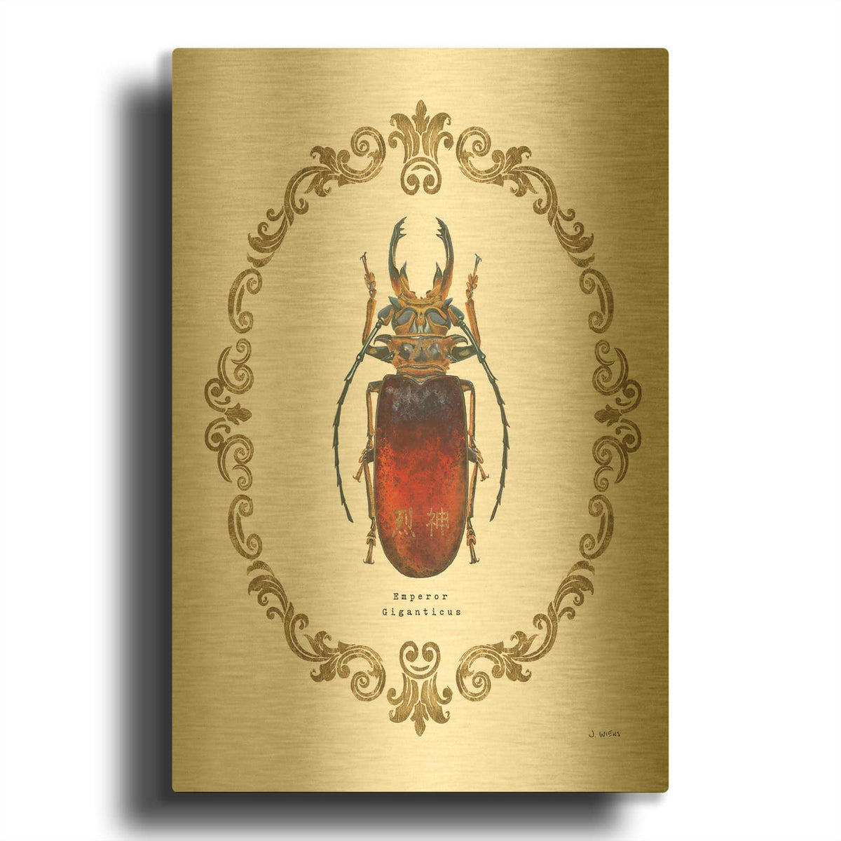 'Adorning Coleoptera I' By James Wiens Gold Metal Wall Art