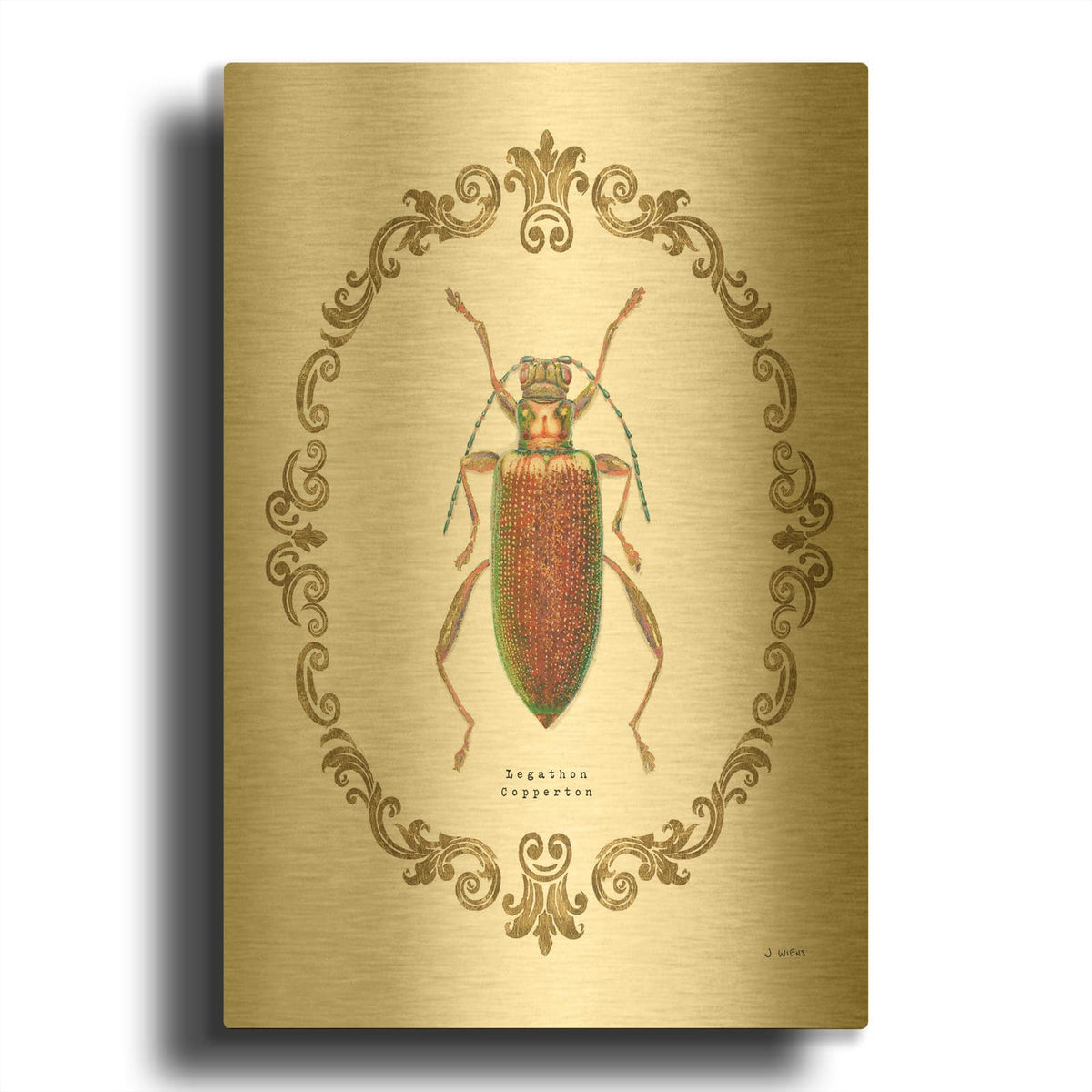 'Adorning Coleoptera VI' By James Wiens Gold Metal Wall Art