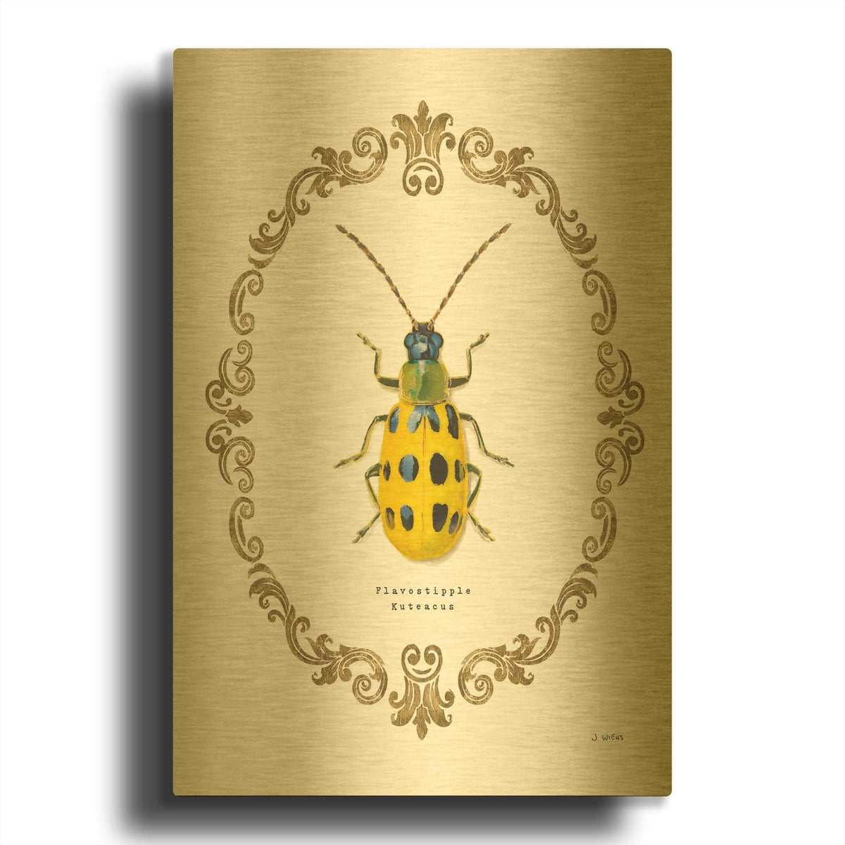 'Adorning Coleoptera VII' By James Wiens Gold Metal Wall Art