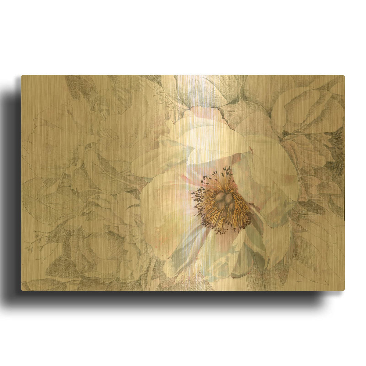 'Blooming Sketch' By James Wiens Gold Metal Wall Art