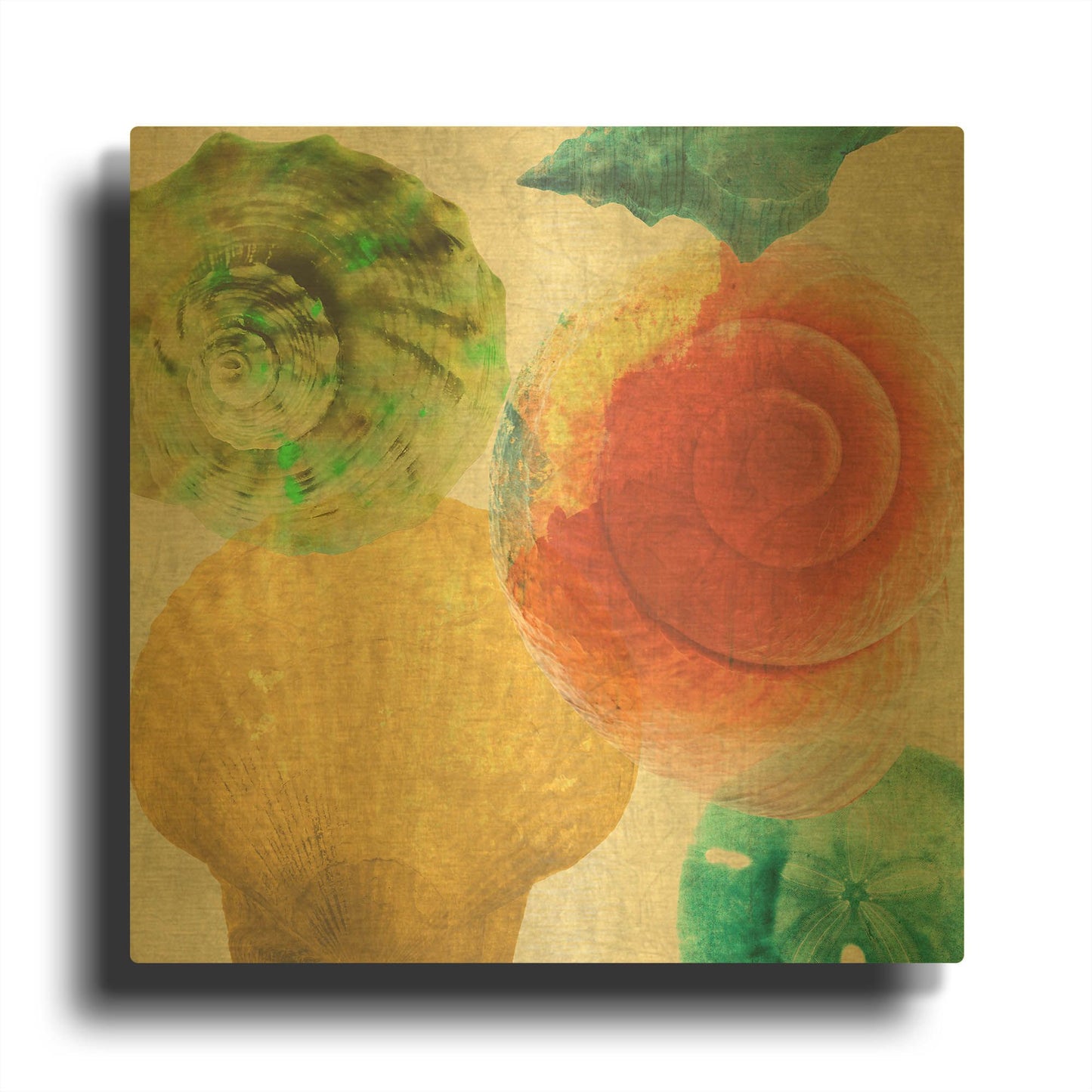 'Luminous Seashells 4' By Elena Ray Gold Metal Wall Art