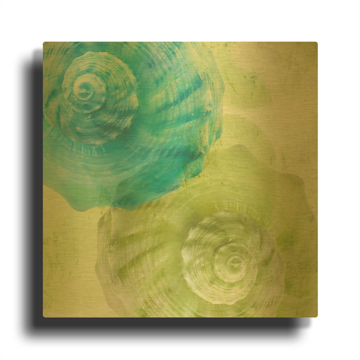 'Luminous Seashells 3' By Elena Ray Gold Metal Wall Art