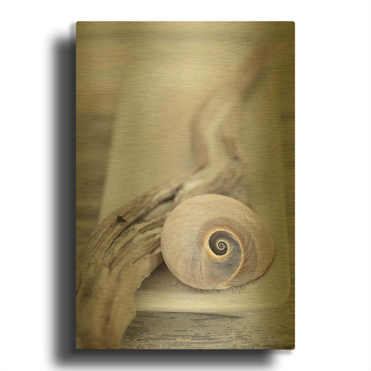 'Zen Style Beach Still' By Andrea Haase Gold Metal Wall Art