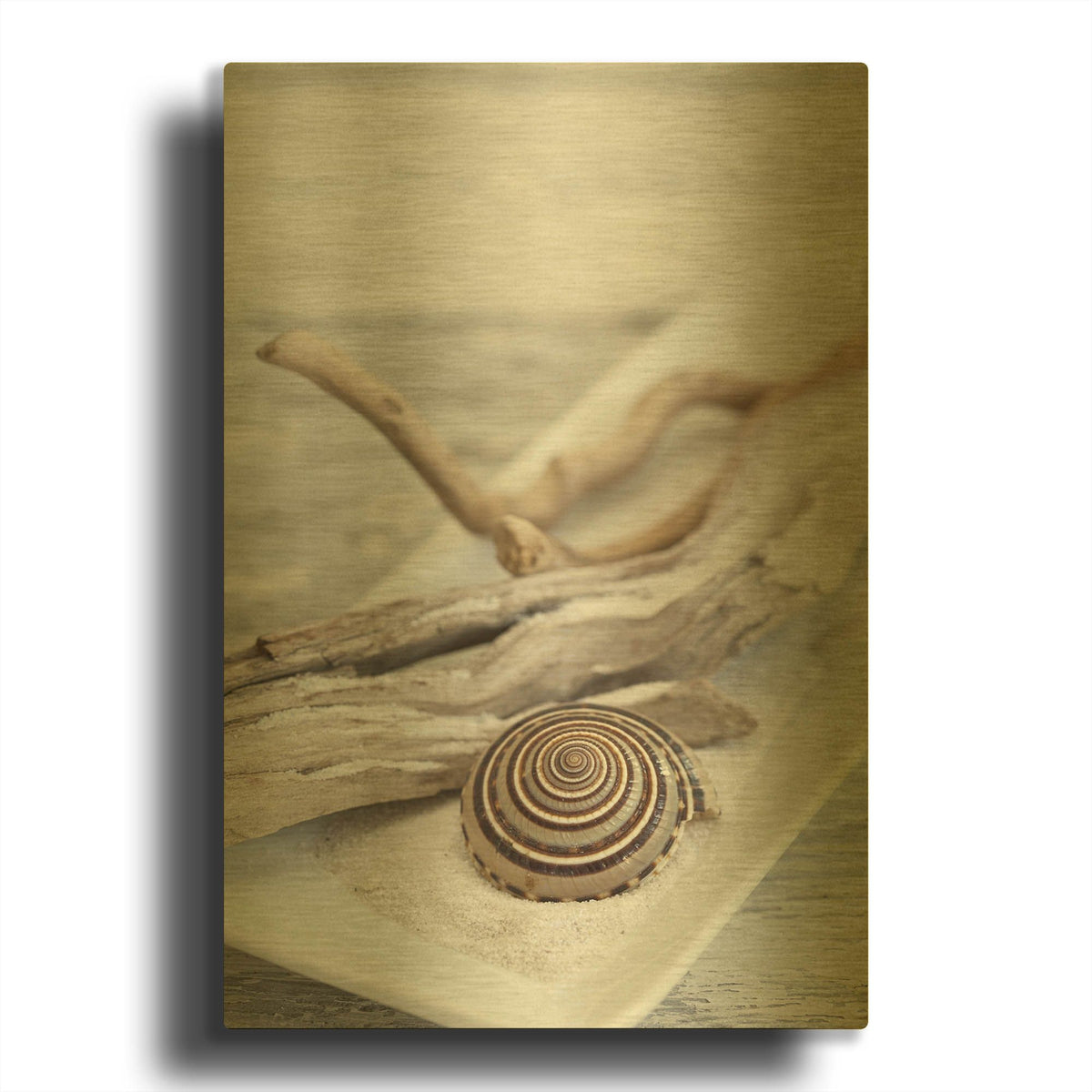 'Zen Style Driftwood Seashell Still' By Andrea Haase Gold Metal Wall Art