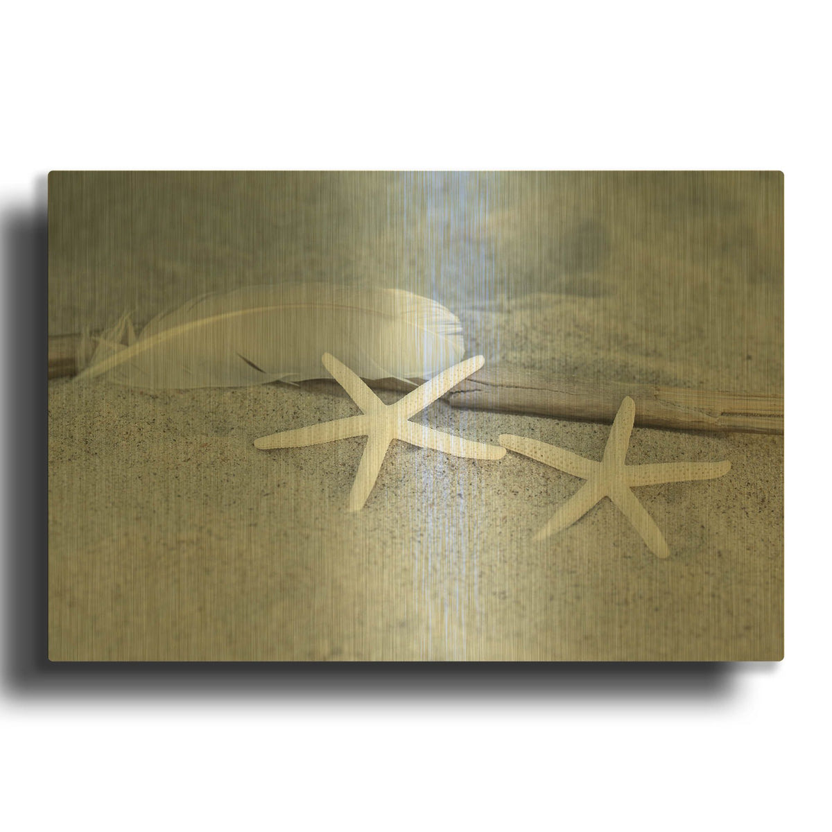 'Starfish Feather Beach Still' By Andrea Haase Gold Metal Wall Art