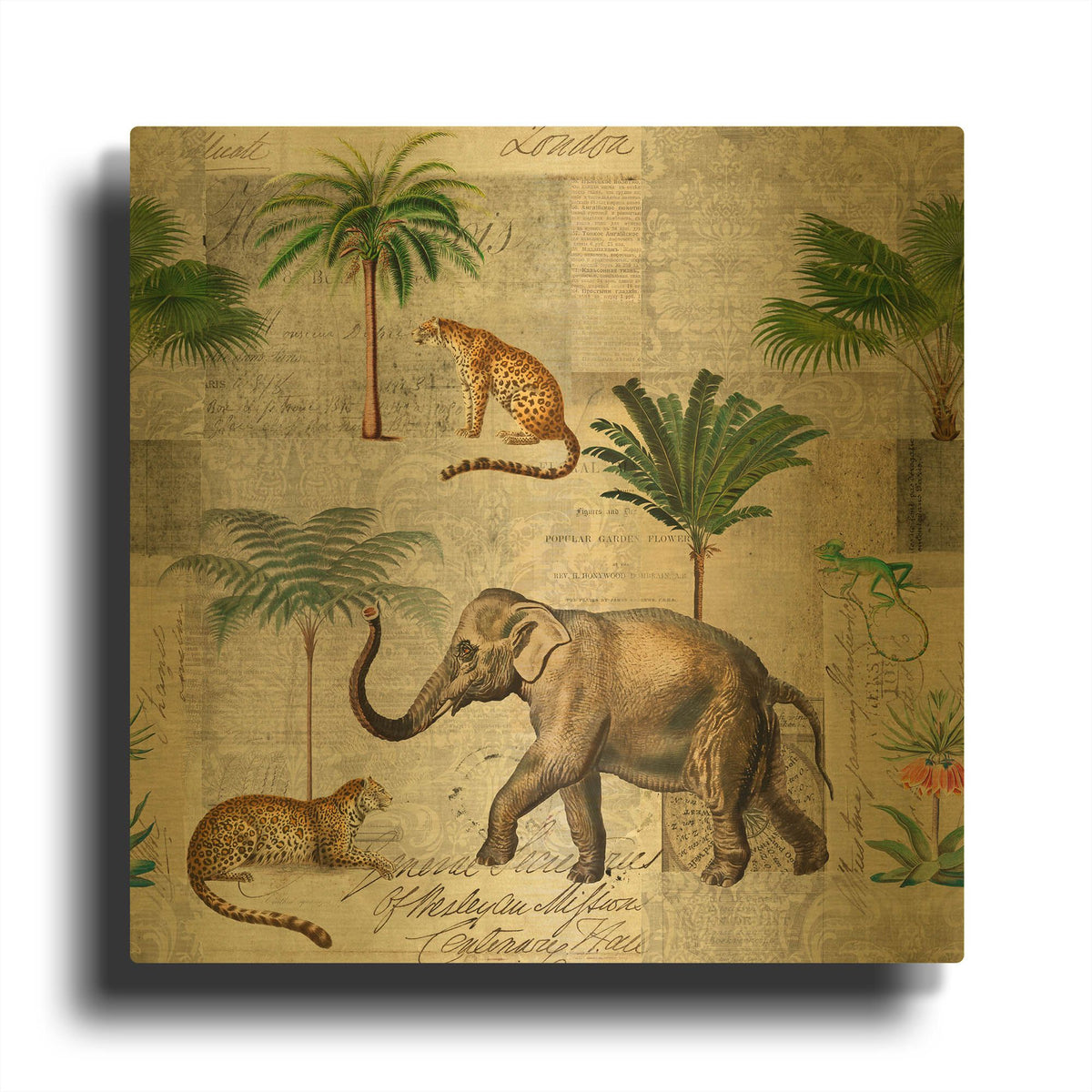 'The Magic Of Africa' By Andrea Haase Gold Metal Wall Art