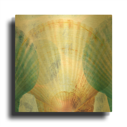 'Luminous Seashells 2' By Elena Ray Gold Metal Wall Art