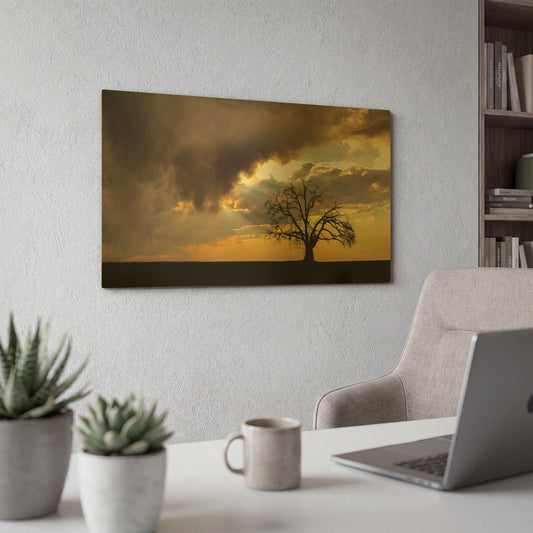 'Lone Tree In The Morning Light' By Don Schwartz Gold Metal Wall Art