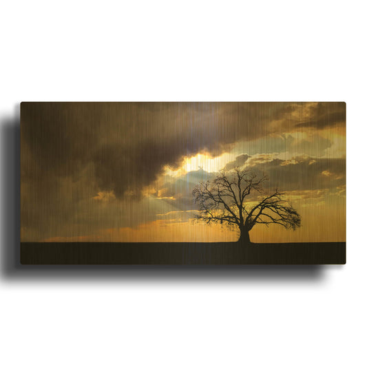 'Lone Tree In The Morning Light' By Don Schwartz Gold Metal Wall Art