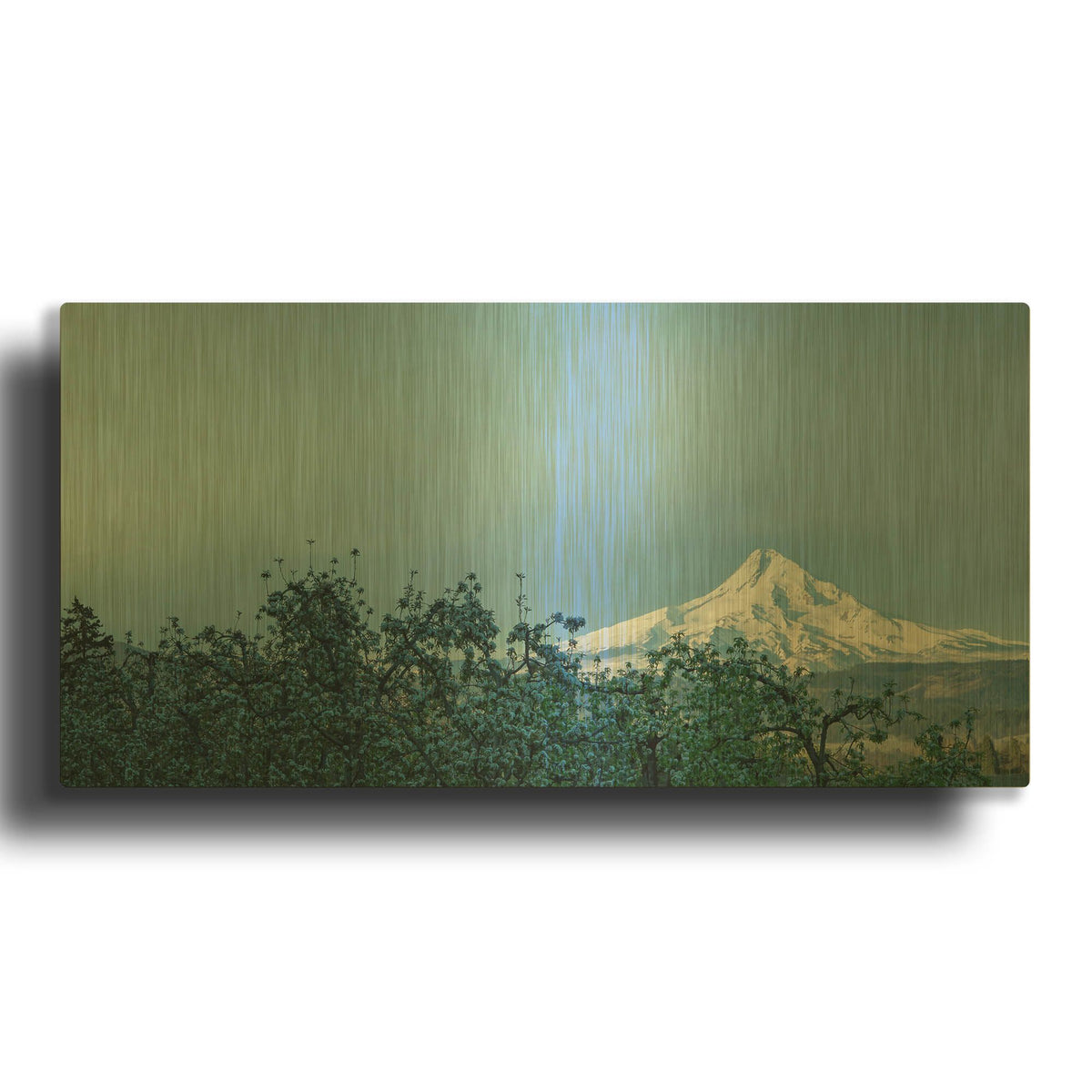 'Pear Blossom Morning' By Don Schwartz Gold Metal Wall Art