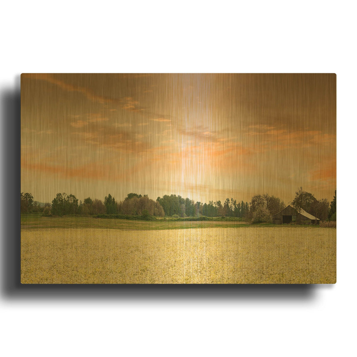 'Barn In The Field Of Spring Flowers' By Don Schwartz Gold Metal Wall Art