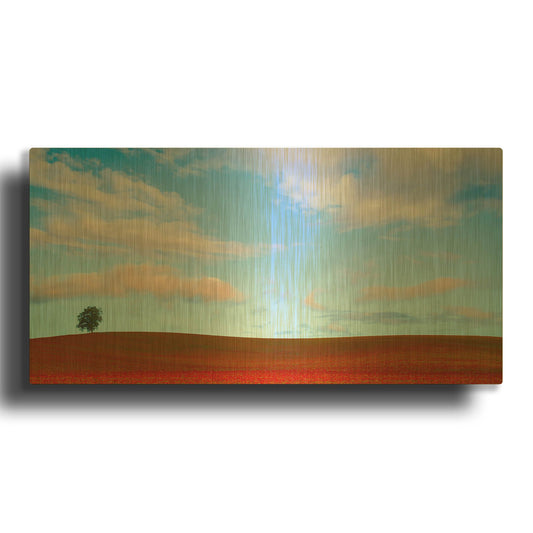 'Rolling Hills Of Clover' By Don Schwartz Gold Metal Wall Art