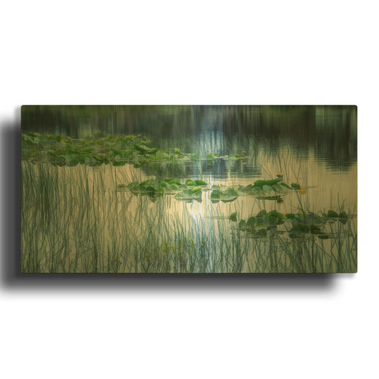 'Lakeside In Spring' By Don Schwartz Gold Metal Wall Art