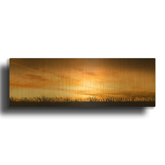 'Pastoral Sunrise' By Don Schwartz Gold Metal Wall Art