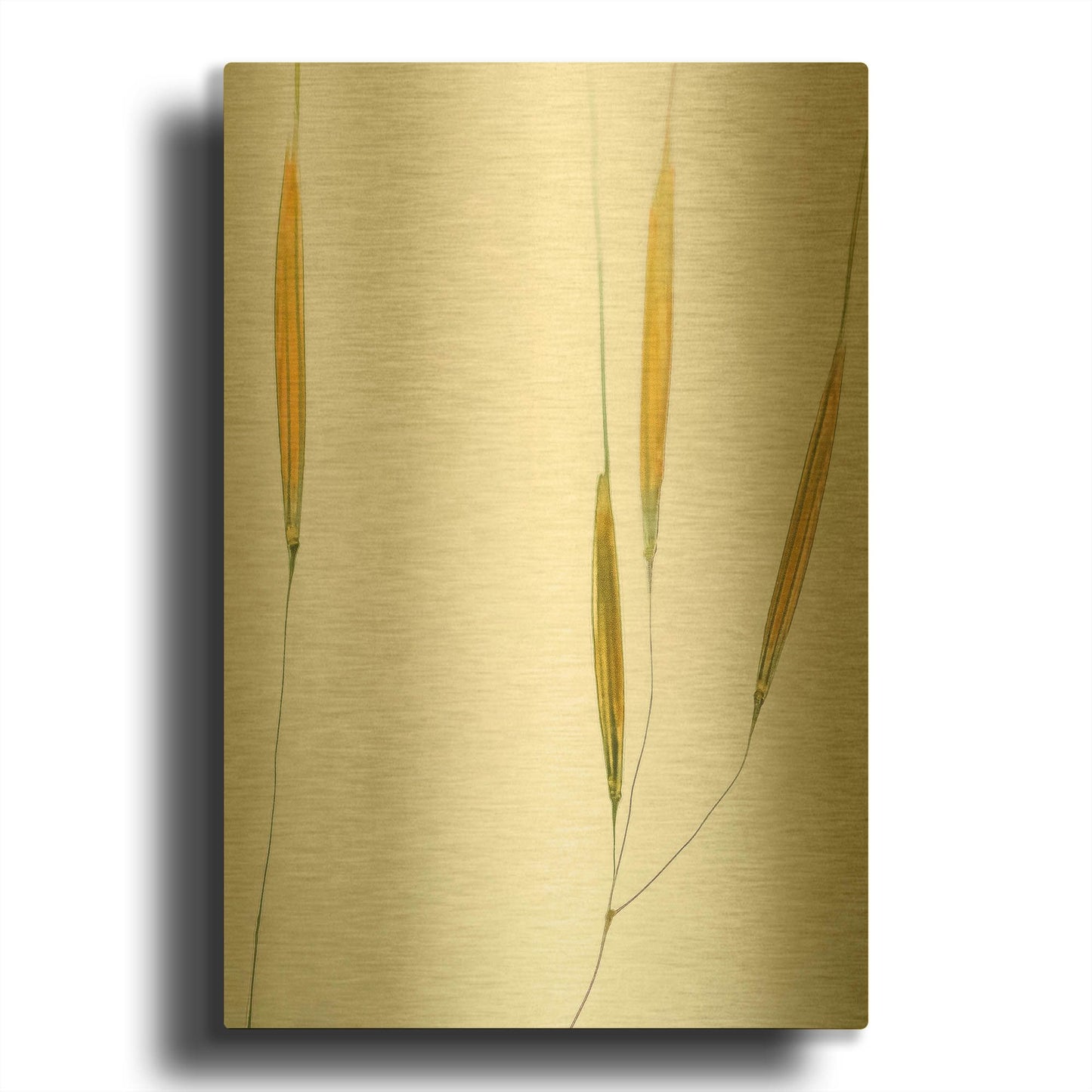 'Delicate Grasses' By Don Schwartz Gold Metal Wall Art