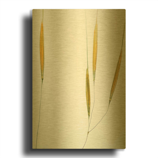 'Delicate Grasses' By Don Schwartz Gold Metal Wall Art