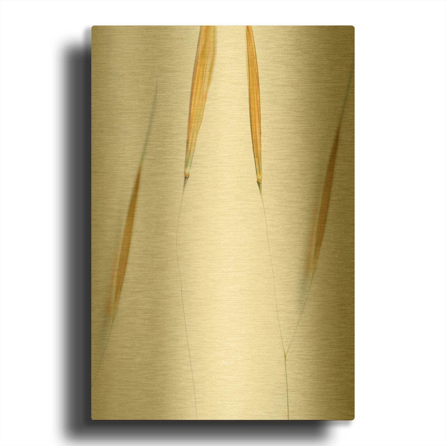 'So Delicate' By Don Schwartz Gold Metal Wall Art