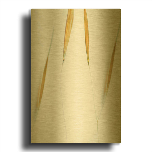 'So Delicate' By Don Schwartz Gold Metal Wall Art