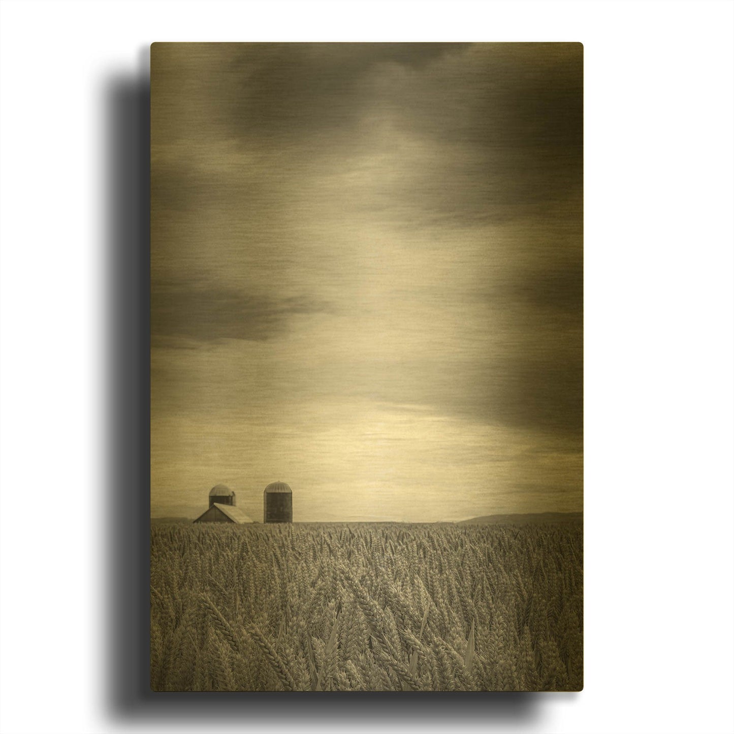 'Across The Wheat Field Ii' By Don Schwartz Gold Metal Wall Art