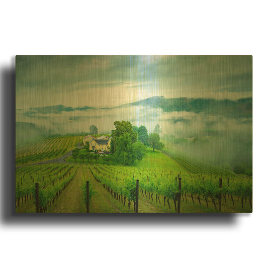 'Vineyard In The Mist' By Don Schwartz Gold Metal Wall Art