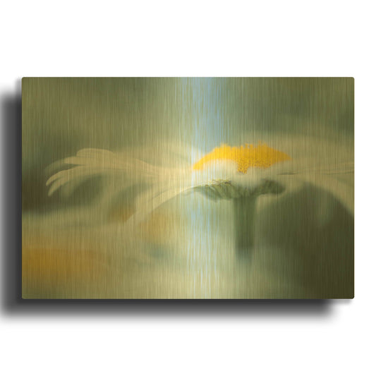 'Summer Morning' By Don Schwartz Gold Metal Wall Art