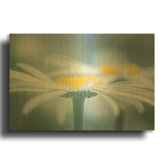 'Two Daisies' By Don Schwartz Gold Metal Wall Art