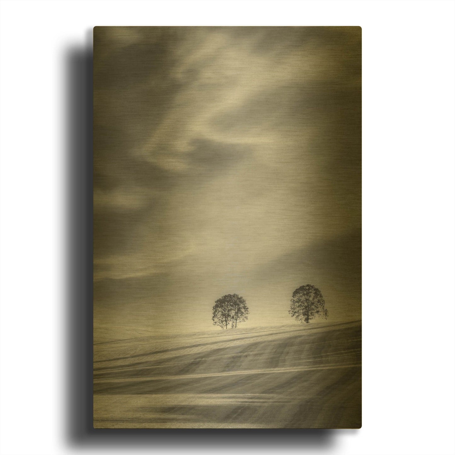 'Two Trees On A Hillside' By Don Schwartz Gold Metal Wall Art