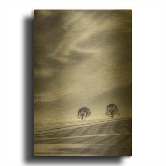 'Two Trees On A Hillside' By Don Schwartz Gold Metal Wall Art