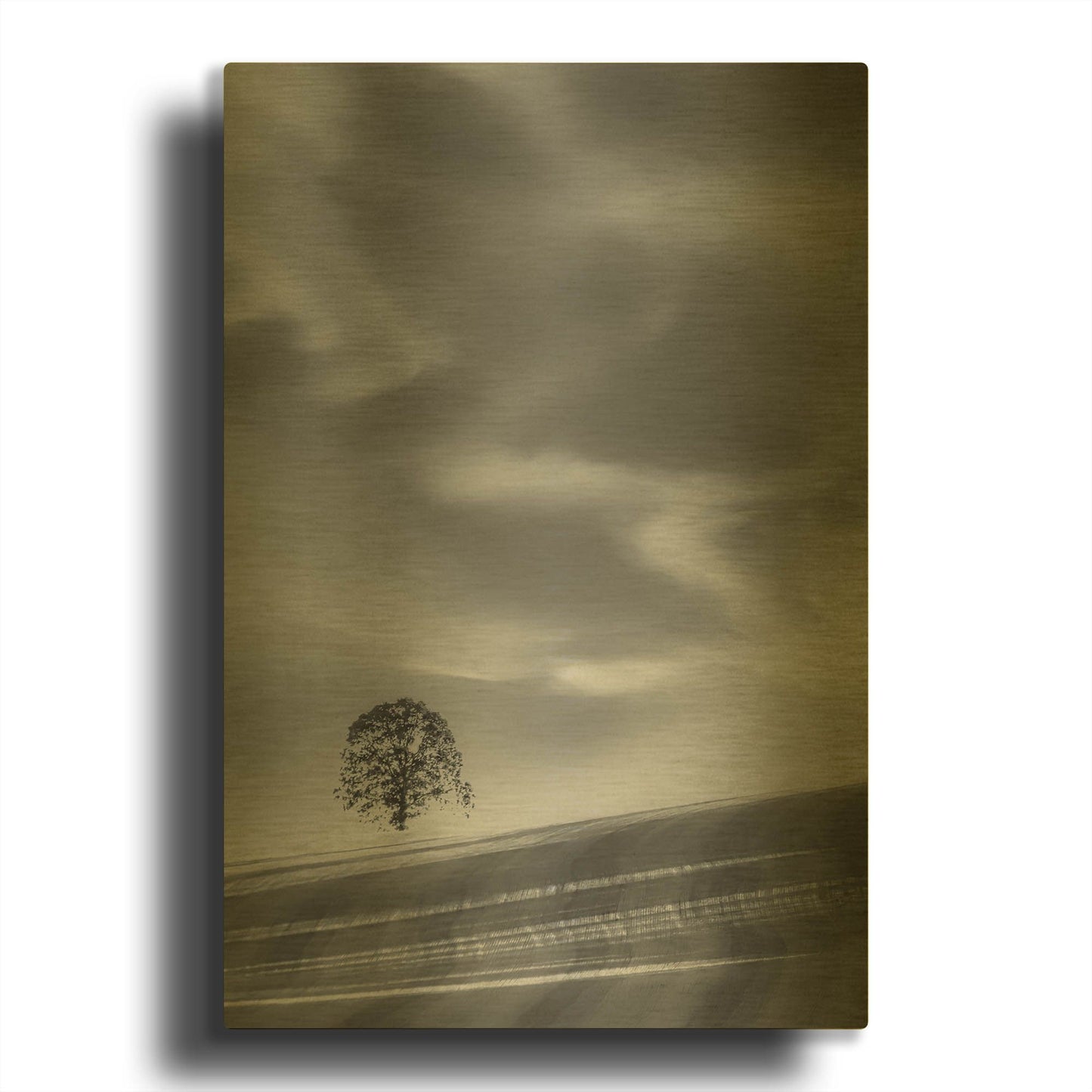 'Lone Tree On A Hillside' By Don Schwartz Gold Metal Wall Art