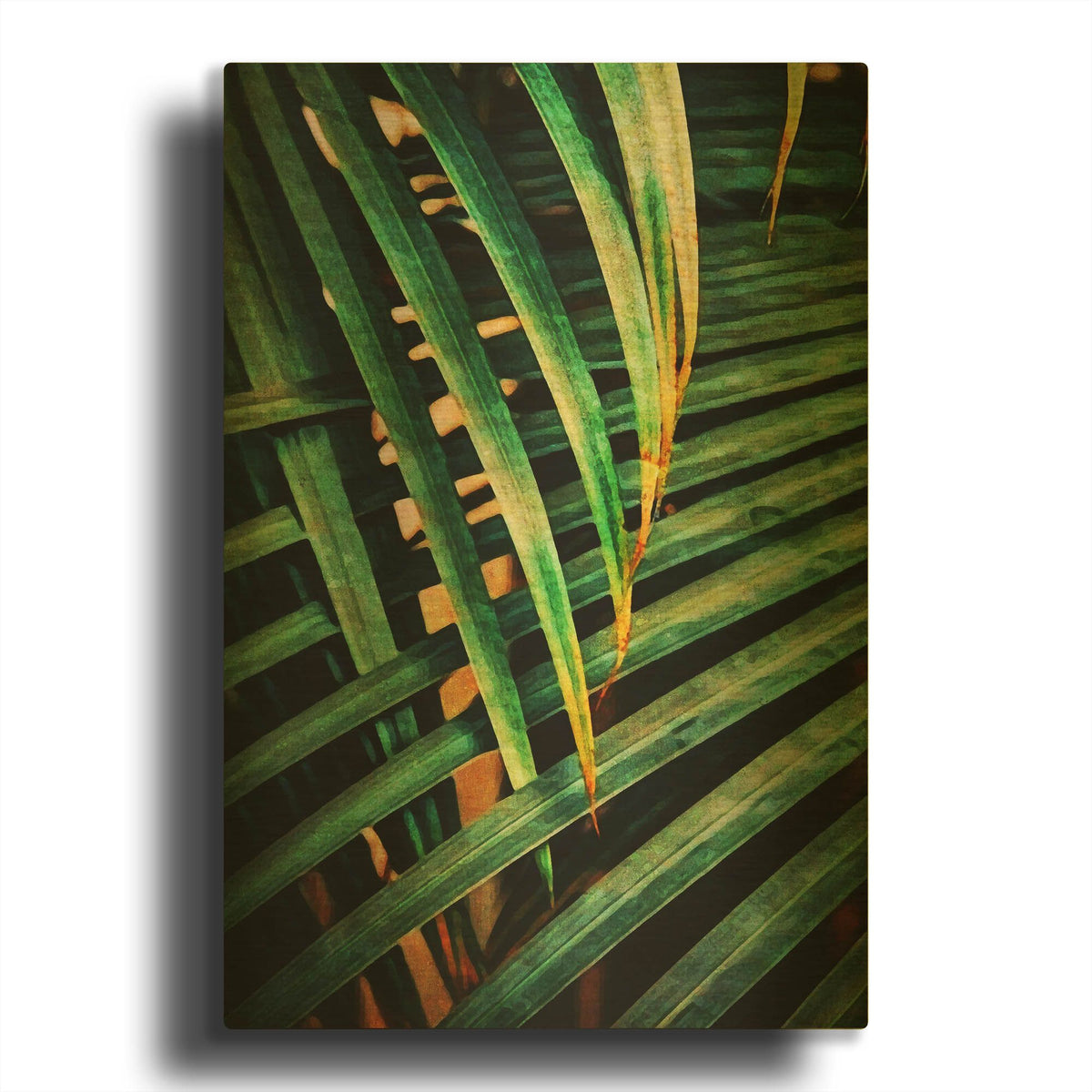 'Beauty Amongst Palms 2' By Ashley Aldridge Gold Metal Wall Art