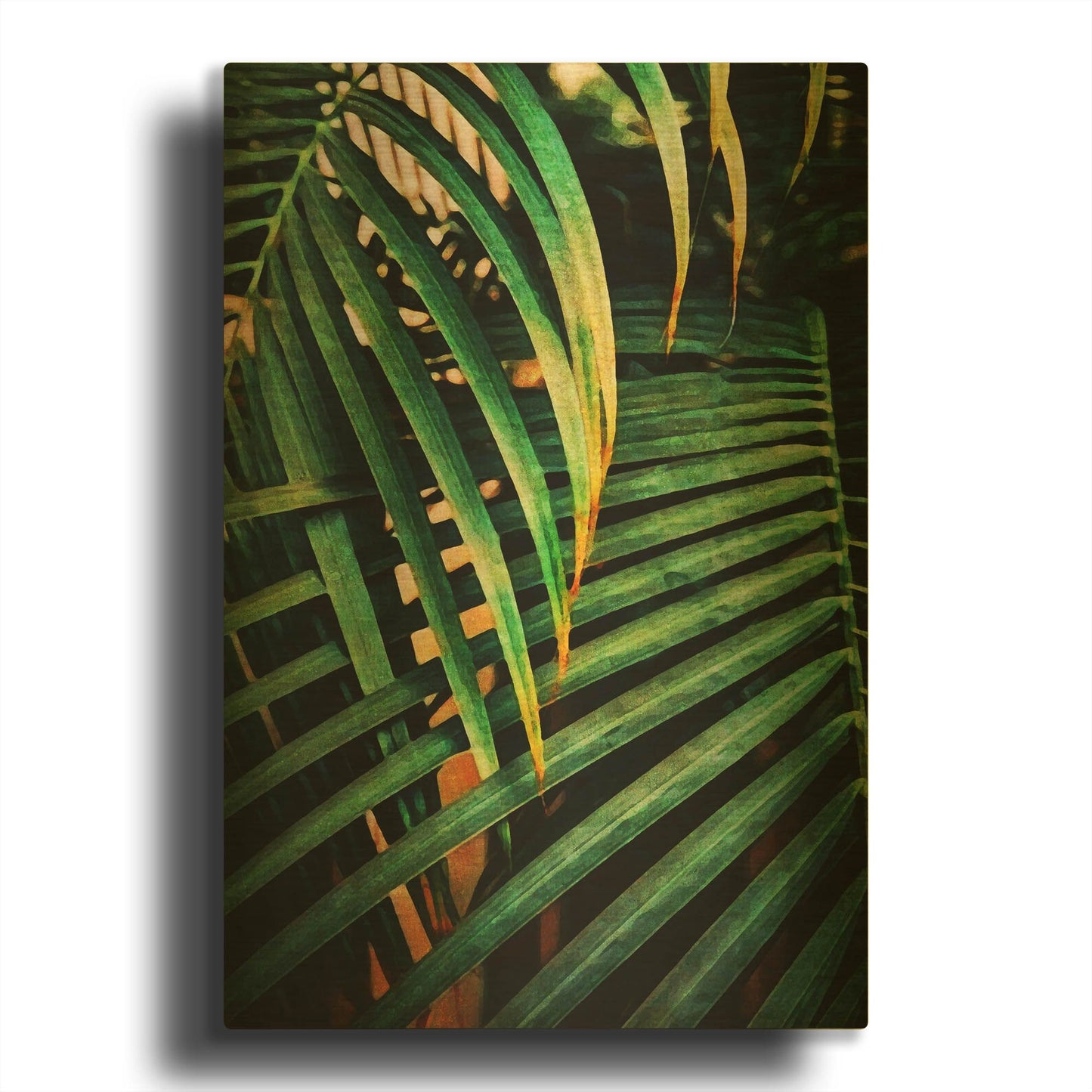 'Beauty Amongst Palms 3' By Ashley Aldridge Gold Metal Wall Art
