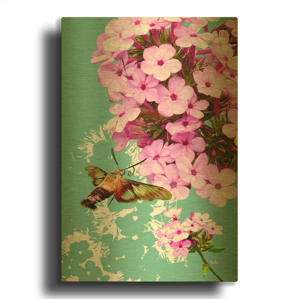 'Clearwing On Flox' By Evelia Designs Gold Metal Wall Art
