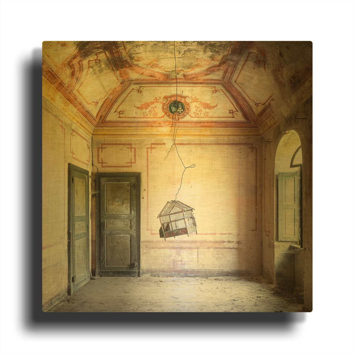 'Bird Cage' By Roman Robroek Gold Metal Wall Art