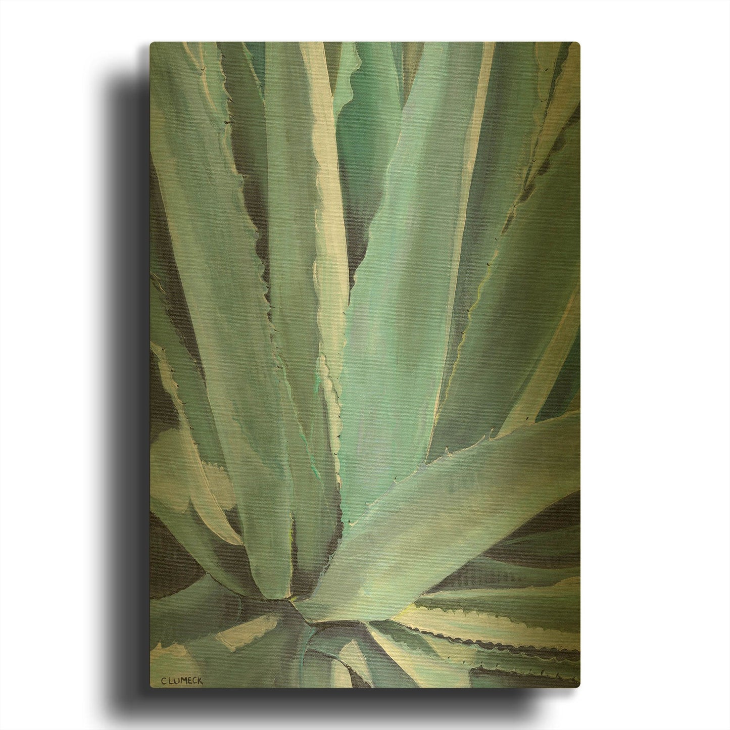 'Blue Agave' By Alana Clumeck Gold Metal Wall Art