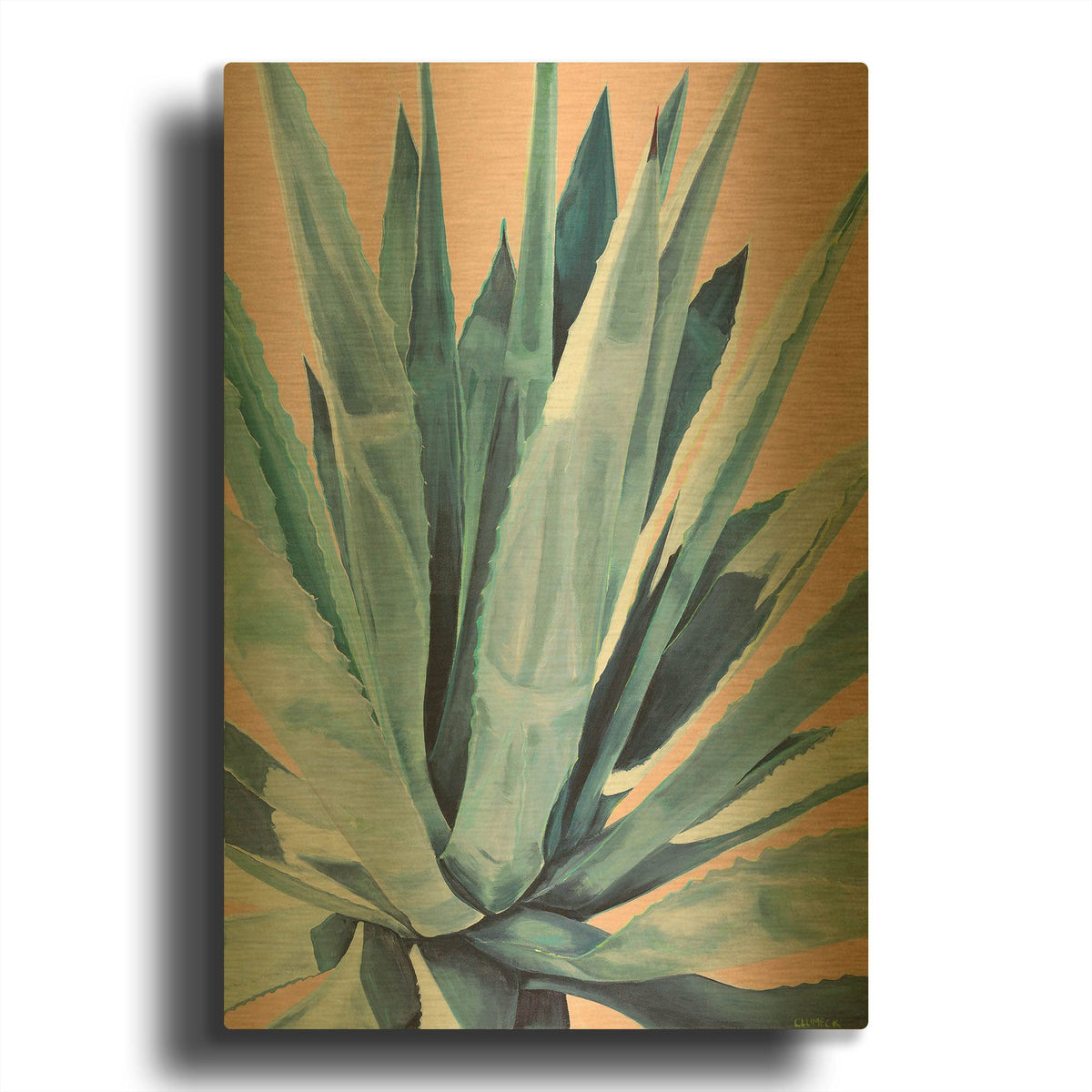 'Agave With Coral' By Alana Clumeck Gold Metal Wall Art