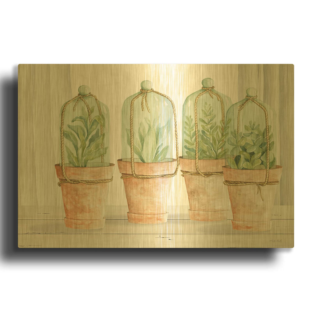 'Herb Collection' By Cindy Jacobs Gold Metal Wall Art
