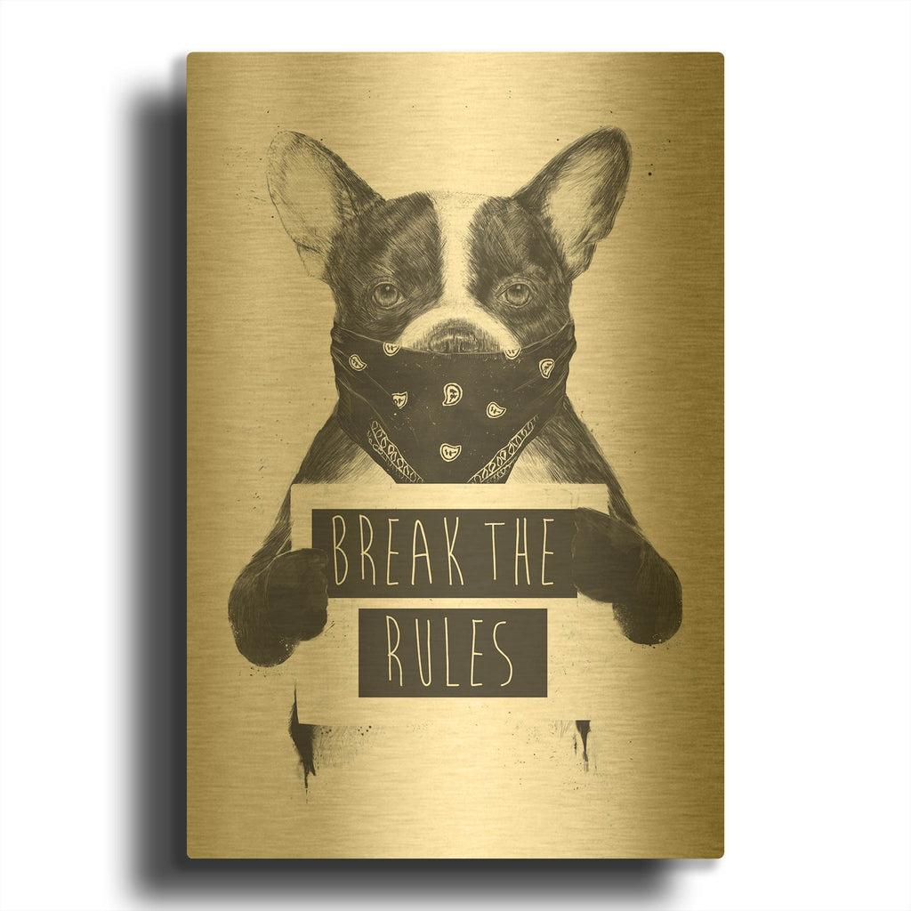 'Rebel Dog' By Balazs Solti Gold Metal Wall Art
