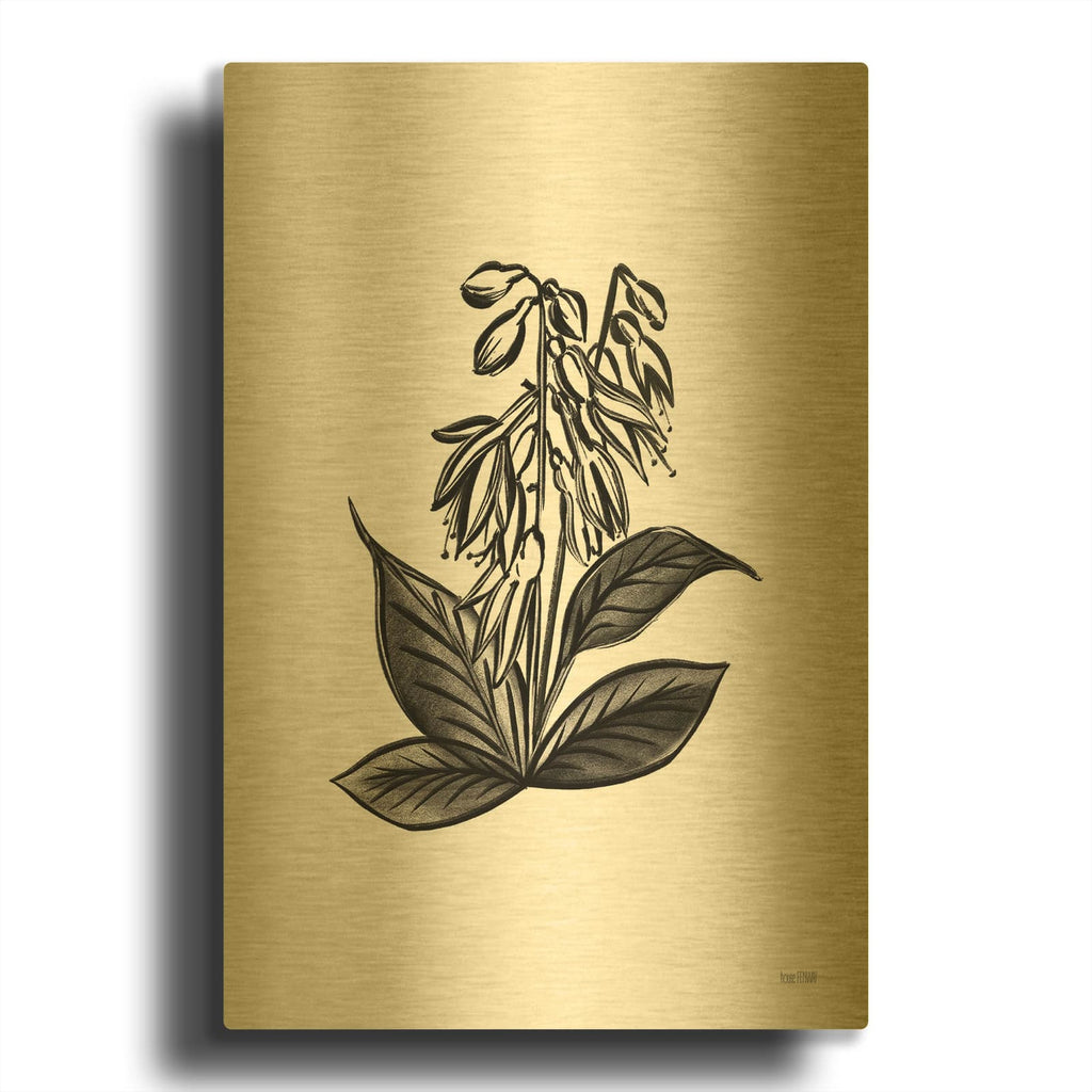 'Pen And Ink Wildflower III' By House Fenway Gold Metal Wall Art